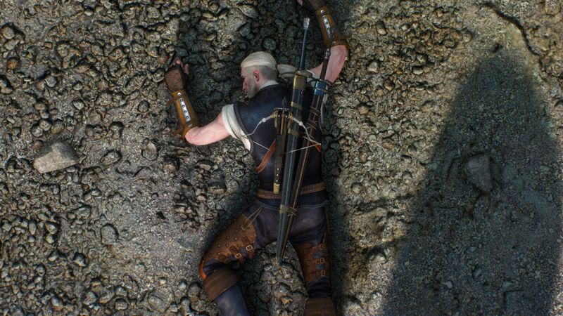 Illustration for article titled The Witcher 3, As Told Through Beautiful Screenshots